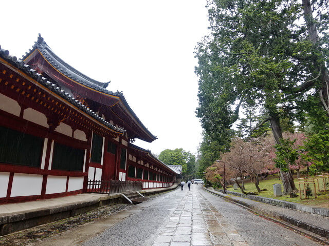 【奈良 東大寺】